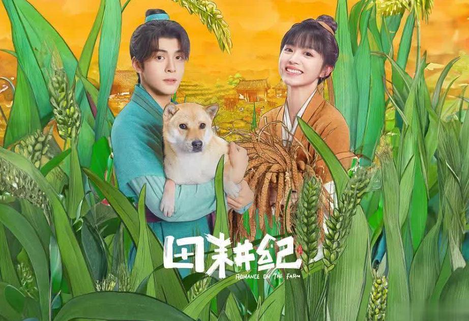 海外不能看西瓜视频怎么办教程